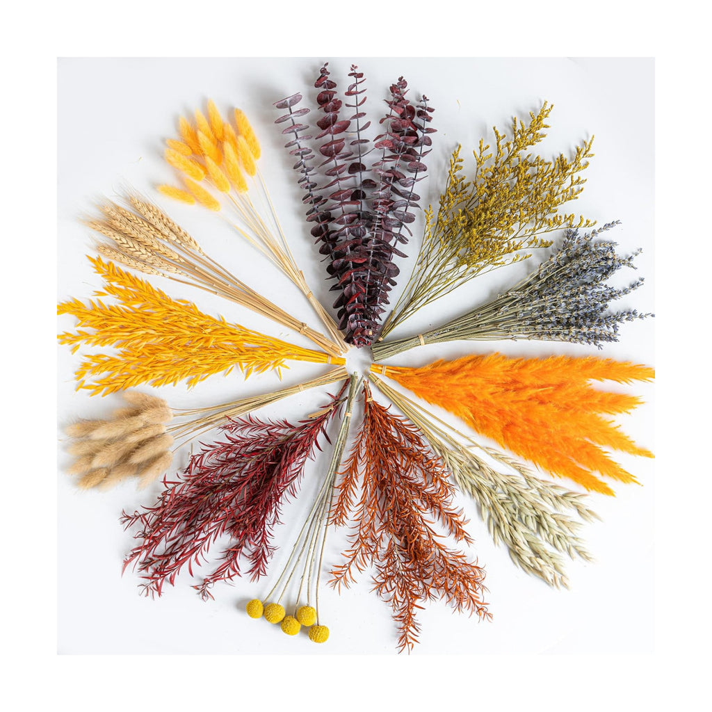 12 Kind Dried Flowers Set - Fall Decor Preserve Flowers Kit