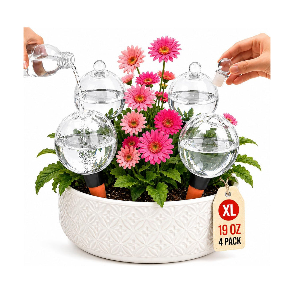 19 oz Large Self Watering Globes for Plants, Top Fill, 4 Pack | Clear 19 oz reservoir with porous terracotta spike for