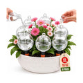19 oz Large Self Watering Globes for Plants, Top Fill, 6 Pack | Clear 19 oz reservoir with porous terracotta spike for