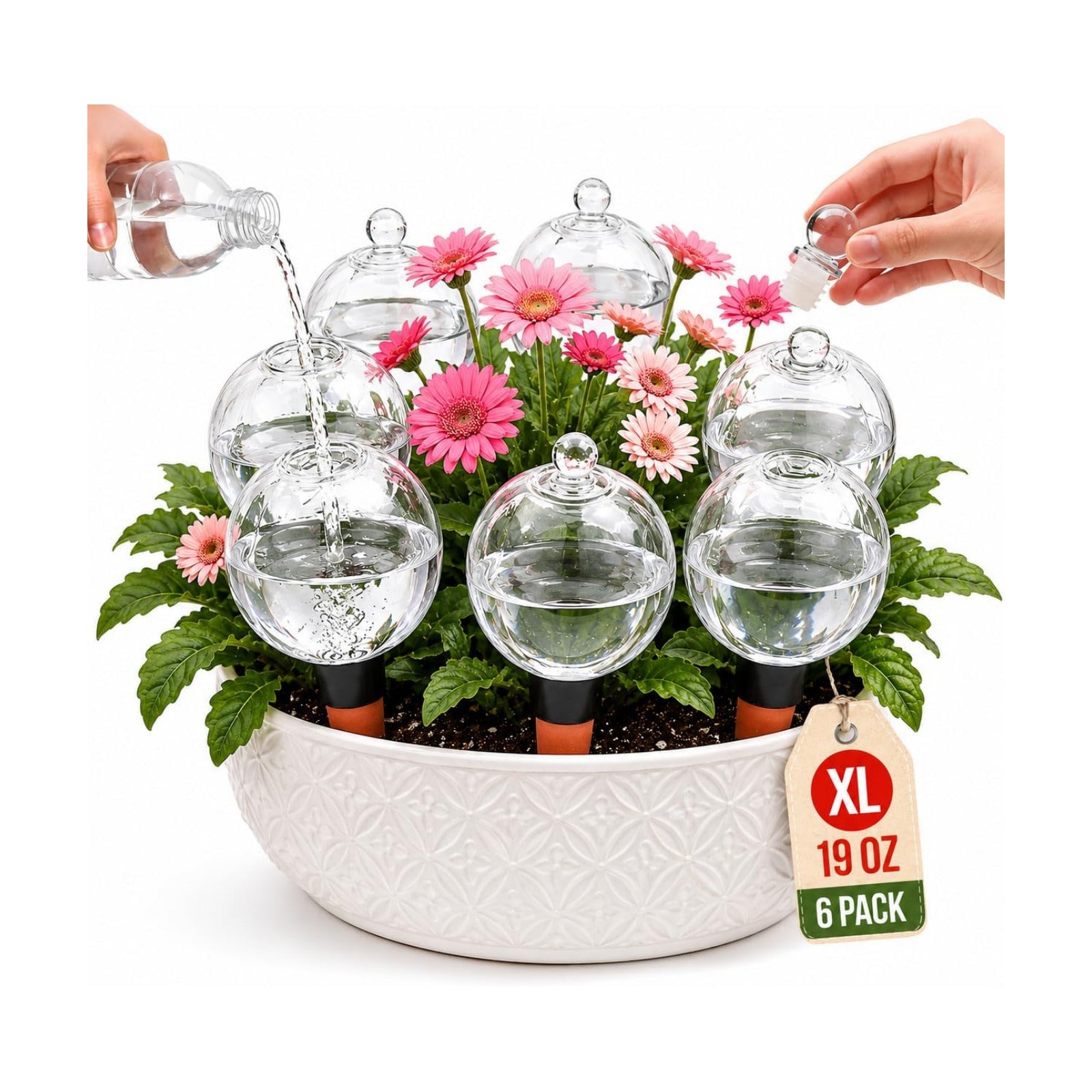 19 oz Large Self Watering Globes for Plants, Top Fill, 6 Pack | Clear 19 oz reservoir with porous terracotta spike for