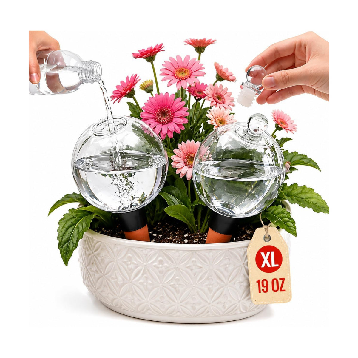 19 oz Large Self Watering Globes for Plants, Top Fill, 2 Pack