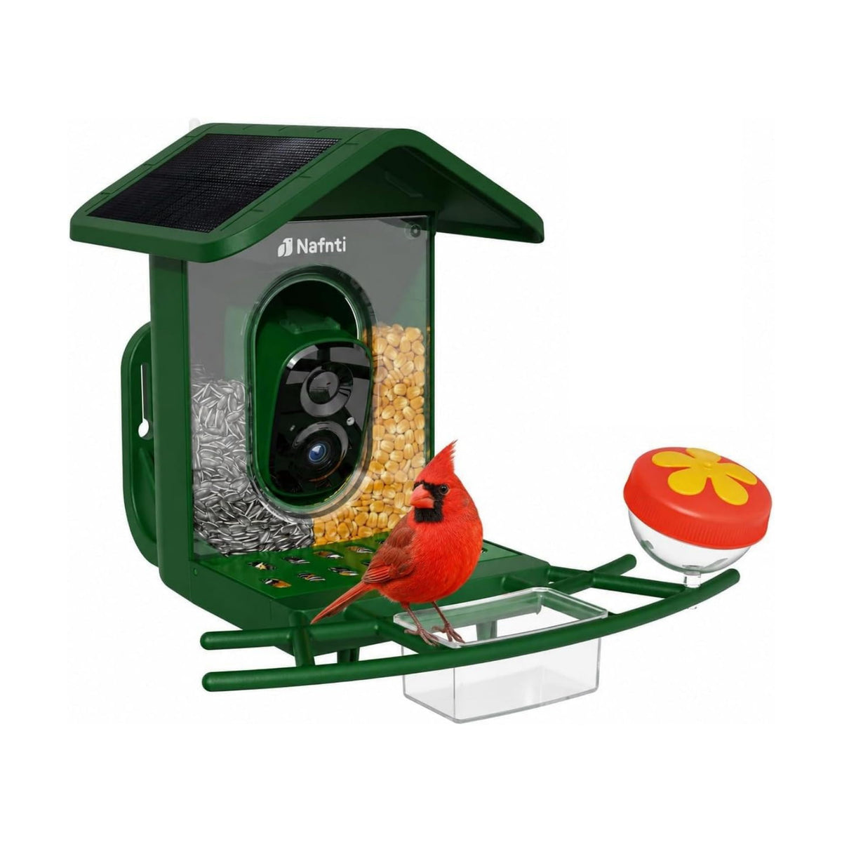 Bird Feeder with Camera 5GHz WiFi AI lifrtime, Solar Powered
