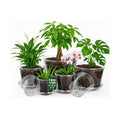MIXC 12/10/8/6/5 Inch 20 Pack Clear Nursery Pots with Drainage & Sacuer
