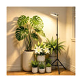 Rechargeable Grow Lights for Indoor Plants, Cordless Standing Grow Light