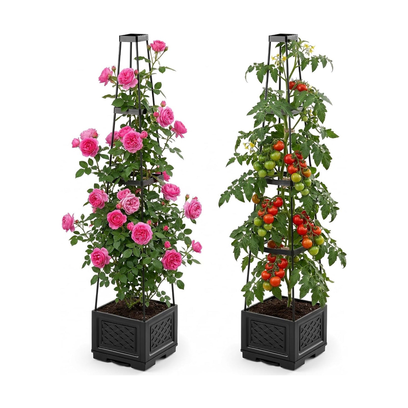 Tomato Planter with Wheels, 57" Self Watering Raised Garden Bed with Tomato Cage & Trellis for Light Climbing Plants