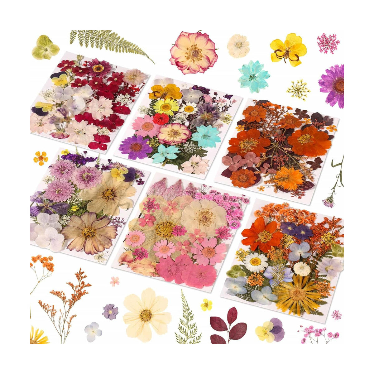 Evatage 180 Pcs Real Dried Pressed Flowers for Resin Crafts