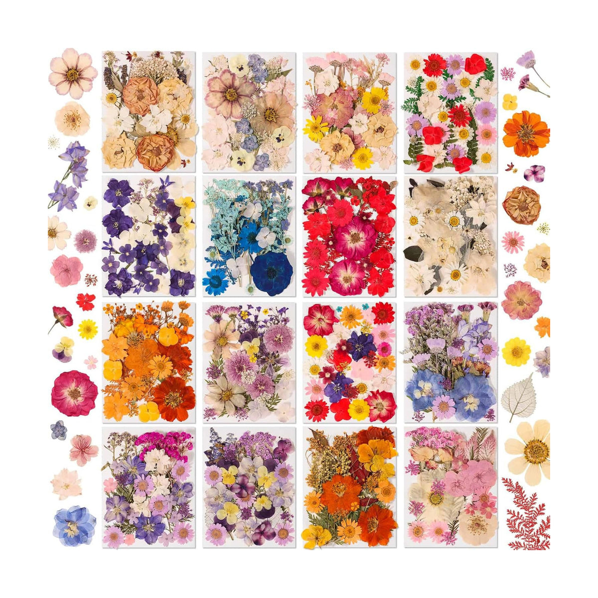 Evatage 480 Pcs Real Dried Pressed Flowers for Resin Crafts
