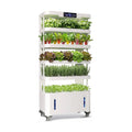 Large Hydroponics Growing System, 148-Pod Vertica Hydroponic Tower Garden | Smart Climate Control, Full-Spectrum Grow