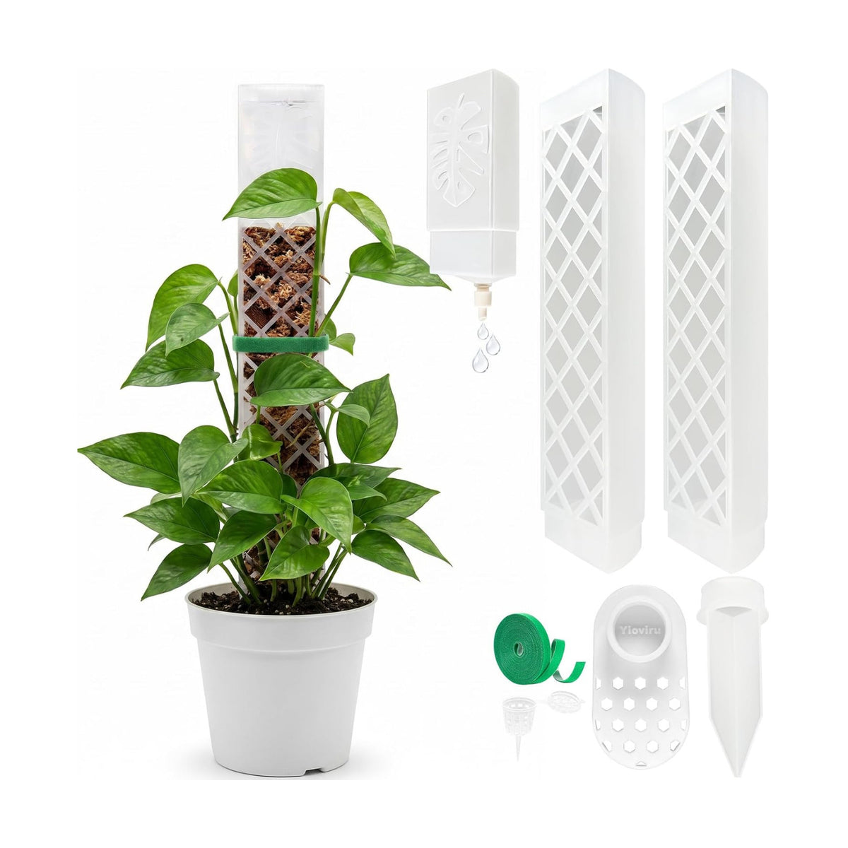 2 Pcs 9 Inch D Shaped Moss Pole with Watering Dripper, Plastic Moss Poles for Climbing Plants, Sturdy Monstera Plant Support, Self Watering Moss Pole Kit for Plants Indoor (1Pack 2Pcs-Translucent)