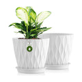 8 Inch Plant Pots 2 Pack, Plastic Pots Drainage Holes & Saucers