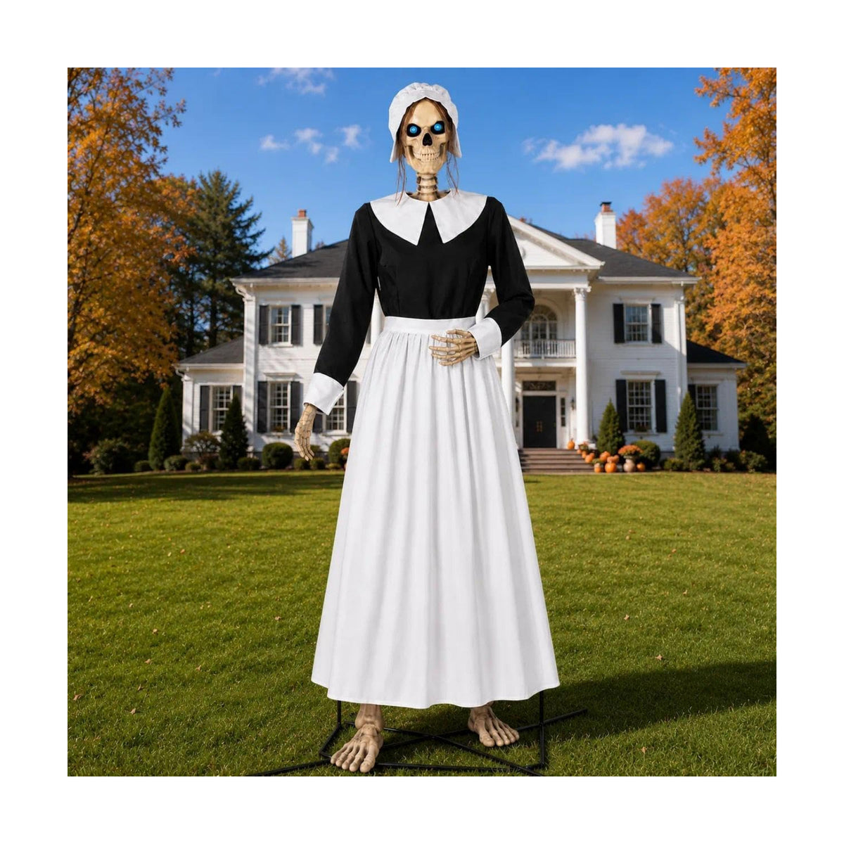 3 Pcs Pilgrim Woman Outfit for 12 Ft Skeleton Thanksgiving Accessories