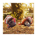 2 Pack Turkey Garden Stakes 20.5in Iron Fall Thanksgiving Yard Decor