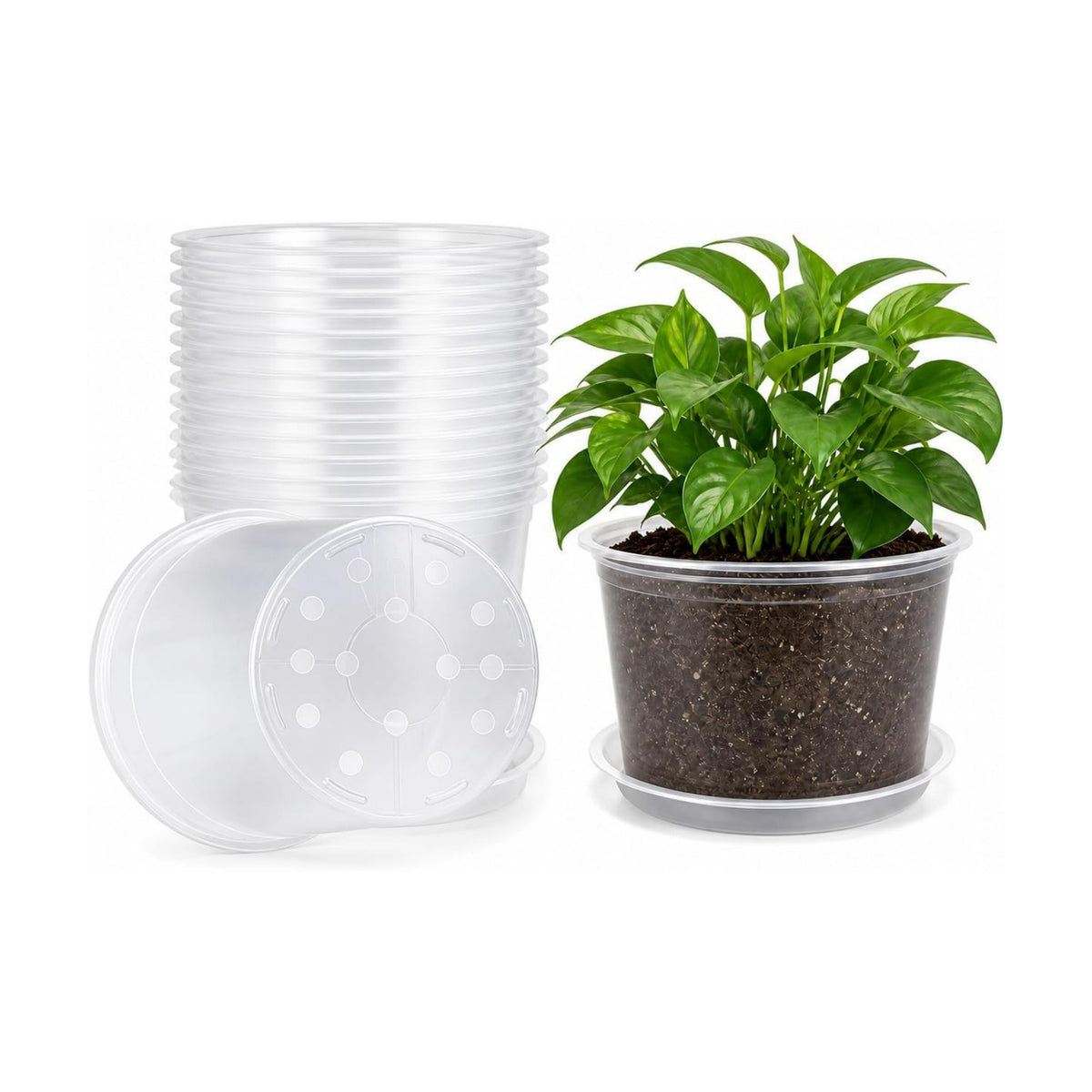 MIXC Clear Nursery Pots with Drainage Holes and Saucers, 12Inch, 12Pack