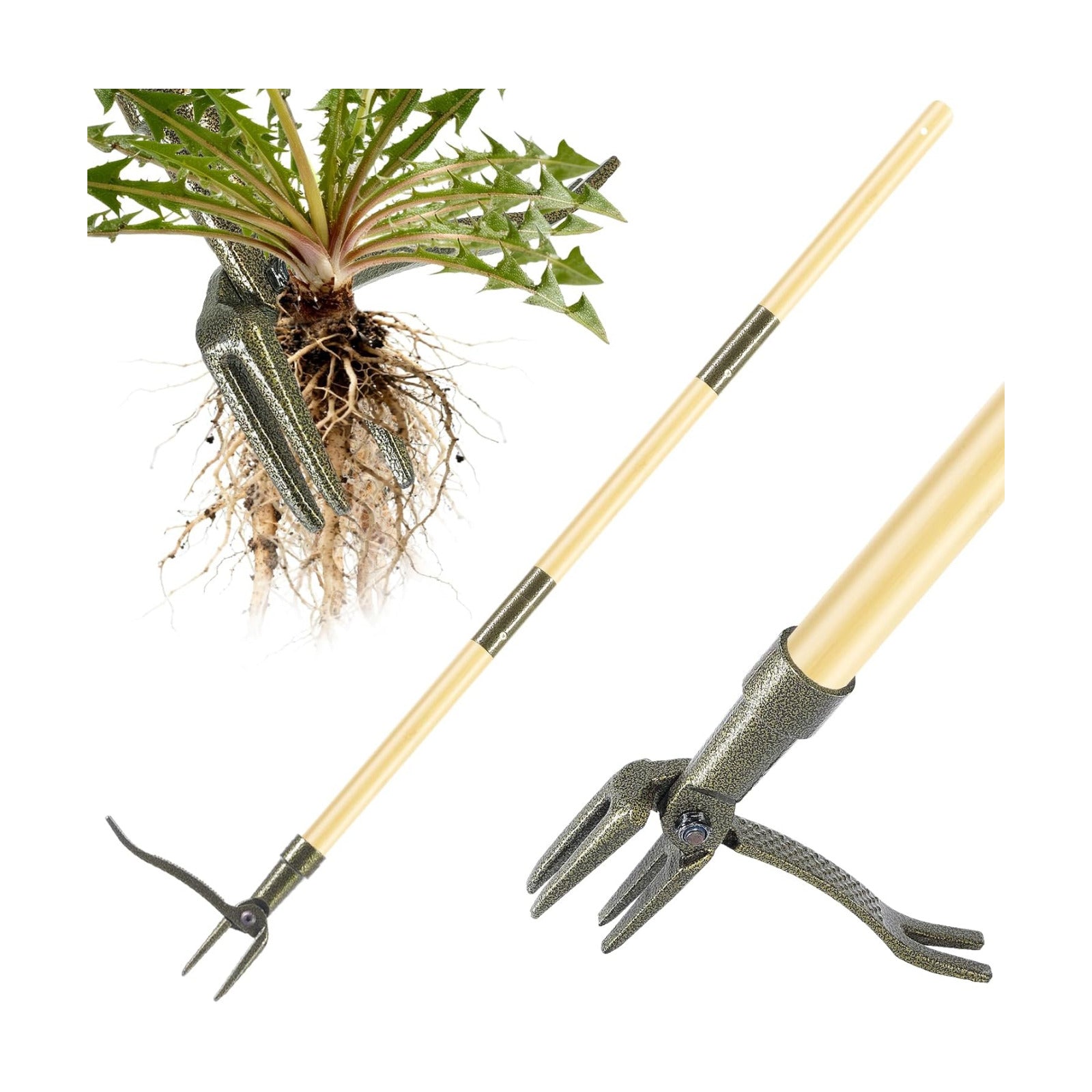 Weed Puller Tool, Stand Up Heavy Duty Weed Remover Tool with Long Handle – 4-Claw Steel Head Weeder for Dandelions
