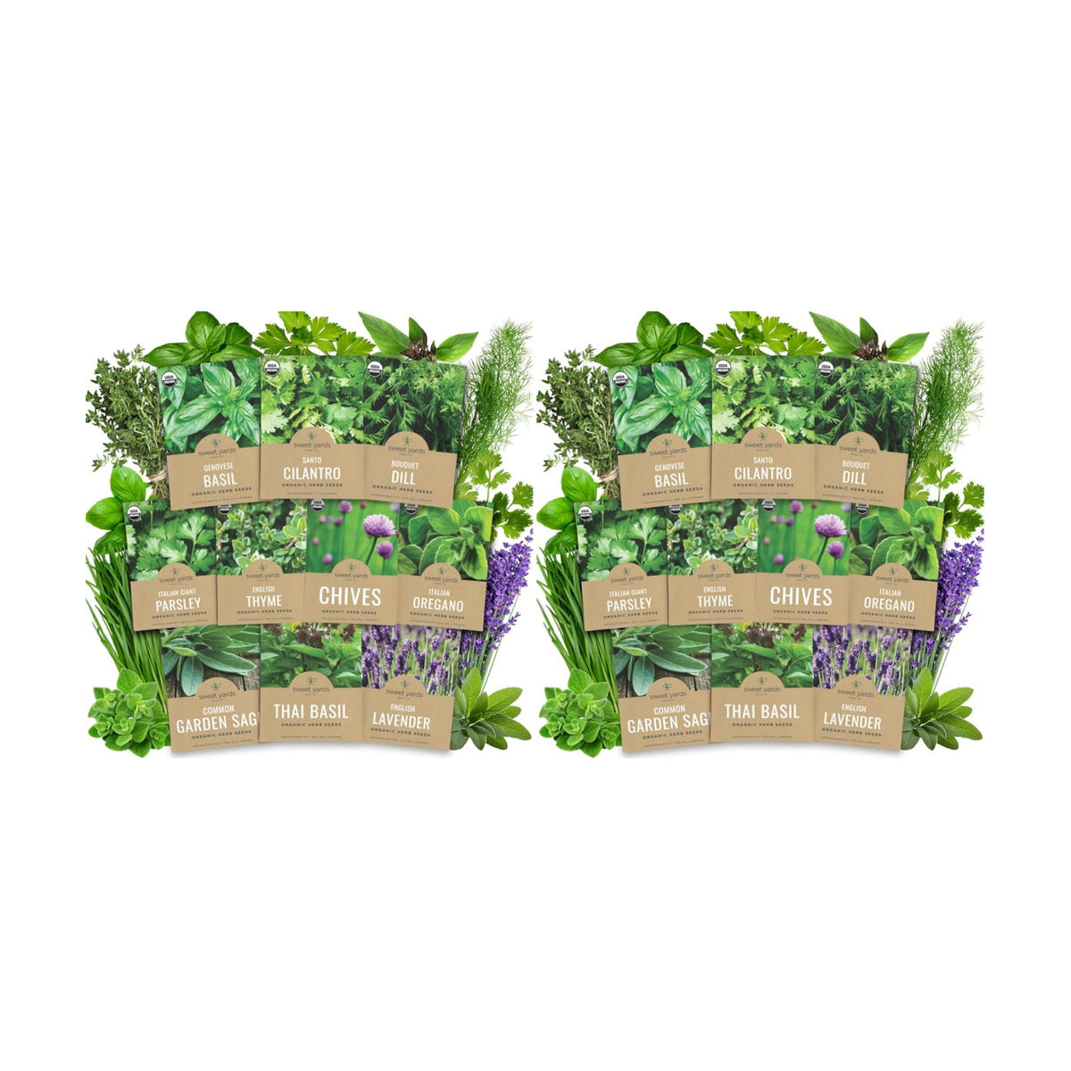 Organic Herb Seeds Variety Pack - 10 Individual Packs - 2026 Season - Basil, Cilantro, Dill, Thyme, Parsley and More! for Indoor & Outdoor Planting (Non-GMO, Certified Organic) (Pack of 2)