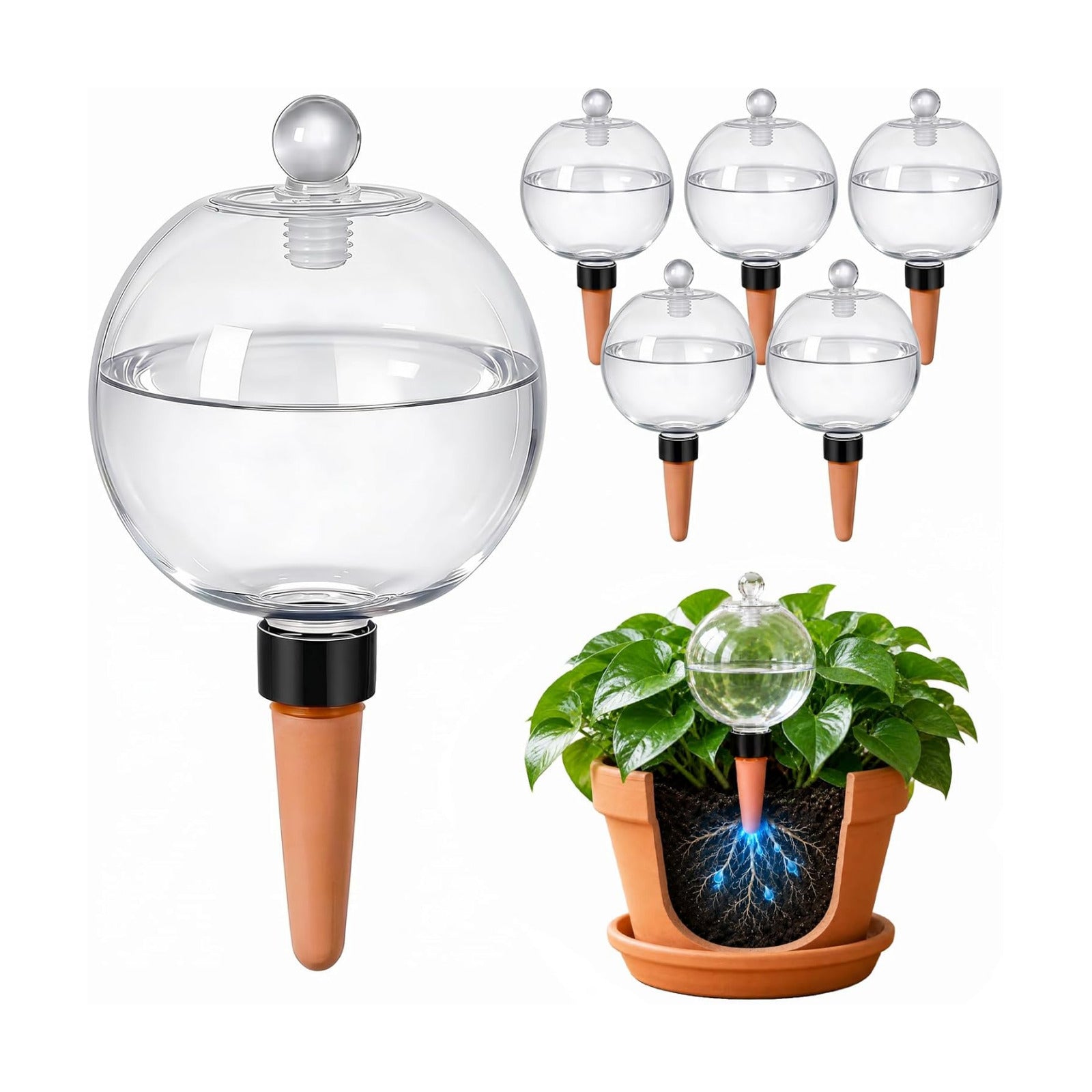 6 Pack 26 oz Extra Large Plant Self Watering Globes to 3 Weeks Watering | Shuomeng Extra Large Self Watering Globes