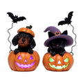 Hodao Halloween Pumpkin Decor with Cat & Dog, Lighted Jack O Lantern