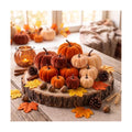 30 Pcs Velvet Fall Pumpkins Set with Leaves, Acorns & Pine Cones