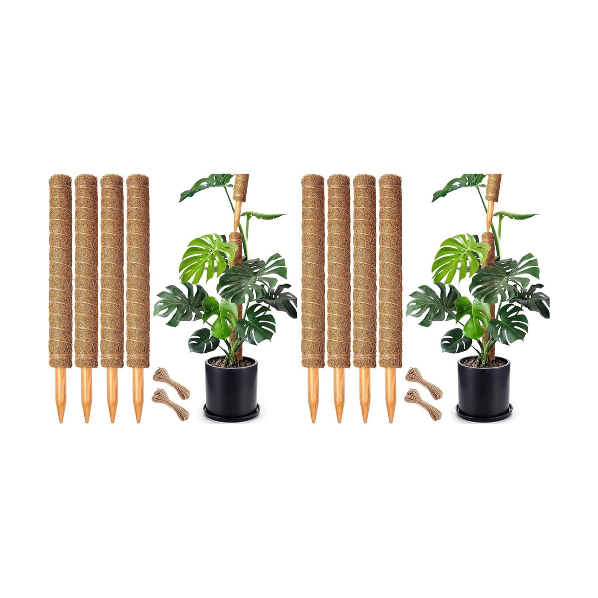 8 Pack 22 Inch Moss Poles, Stackable Moss Pole for Plants Monstera, 70 Inch Tall Moss Poles for Climbing Plants Indoor, Coir Totem Plant Support Stakes Stand for Potted Plants, Pothos