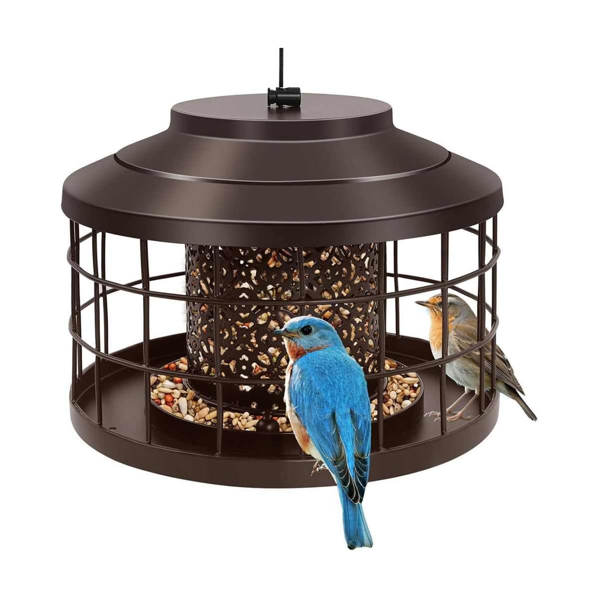 Outdoor Hanging Metal Bird Feeder, Squirrel & Pigeon Proof, Weather Resistant Feeder for Small Wild Birds, Suitable for Garden Decoration (Bronze)