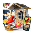 Bird Feeder with Camera Solar Powered 2K Video with 32GB Card Auto Capture